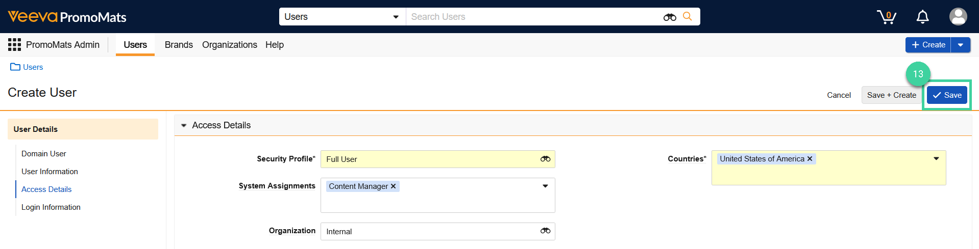 Screenshot of step 13