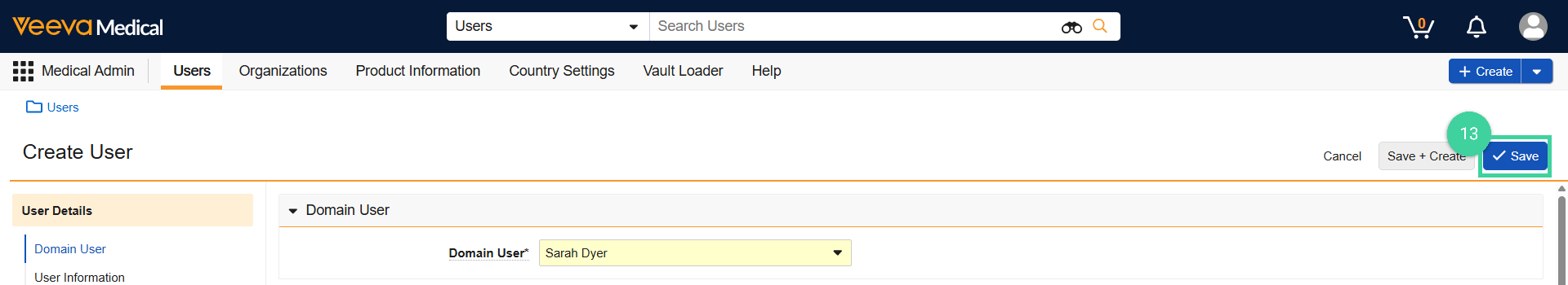 Screenshot of step 13